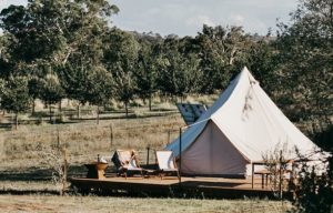 Experience Canberra's Natural Beauty