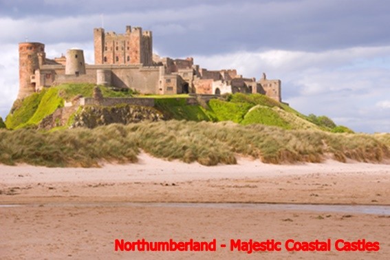 majestic tours northumberland