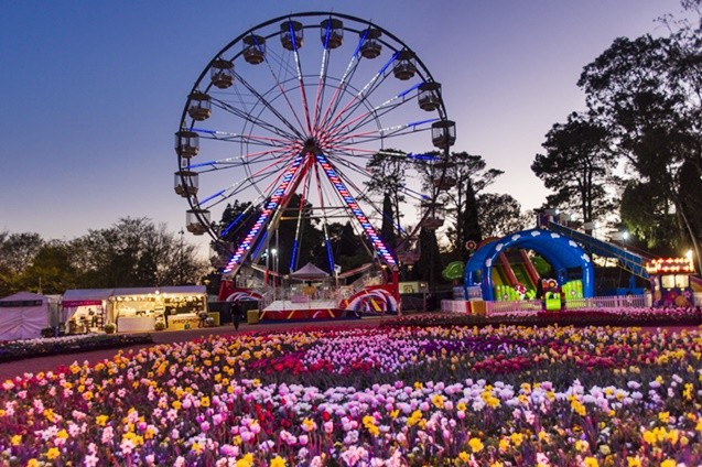 Vibrant Festivals and Events Canberra