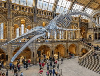 10 Museums to visit in World - Crazy Tourists