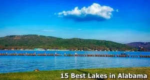 15 Best Lakes in Alabama