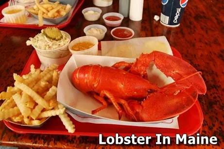 Lobster In Maine