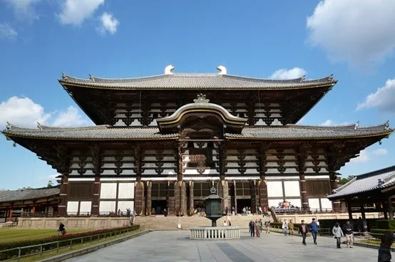 Nara Best Place to visit in Japan