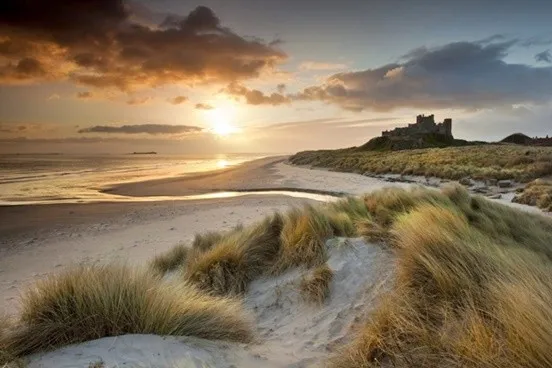 Northumberland - Untamed Beauty