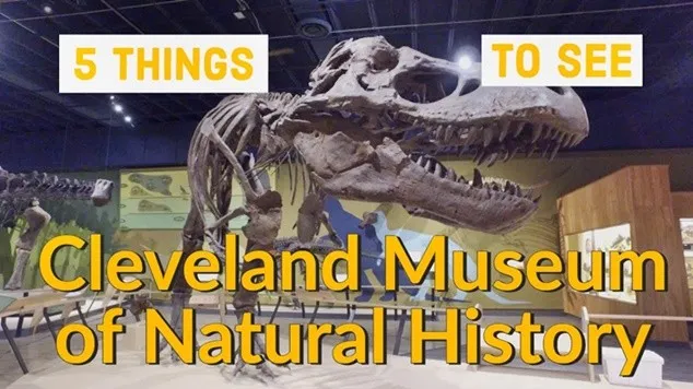 The Cleveland Museum of Natural History Ohio