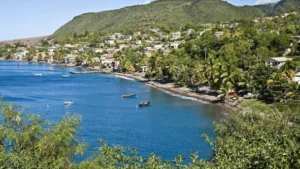 How to Get Citizenship of Dominica: the Most Convenient Ways
