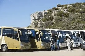 Efficient Bus Rental: The Benefits Of Group Transportation